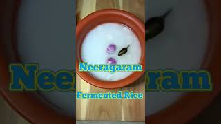 Neeragaram  Fermented Rice breakfast shorts recipeoftheday [upl. by Barret]