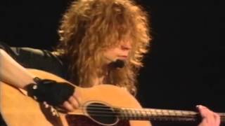 DEF LEPPARD  LIVE IN SHEFFIELD  1993  FULL CONCERT [upl. by Marzi692]