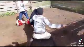 sjambok fight SA [upl. by Ynned]