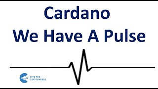 Cardano We Have A Pulse [upl. by Aroz]