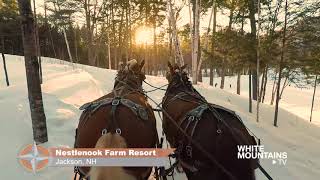 What a Way to Sleigh at Nestlenook Farm [upl. by Guglielmo]