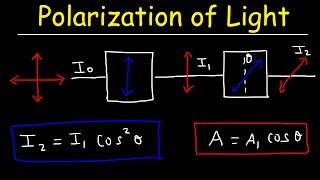 Polarization of light Problems Malus Law  Intensity amp Amplitude  Physics [upl. by Eelrak]