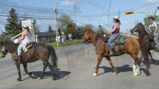 Randonnée à cheval au fleuve 22 mai 2016 quotLe retourquot [upl. by Cadmarr70]