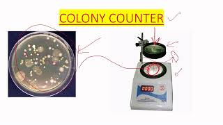 COLONY COUNTER USE IN MICROBIOLOGY LAB IN ENGLISH [upl. by Alilahk335]