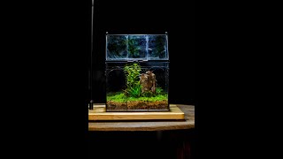 How to build a simple moss terrarium micro landscape tutorial mini mountain [upl. by Akinorev]