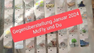 Mcfly und Du Januar 24  Das reinigende Gewitter der Vereinigung 👑 👑 [upl. by Libre]