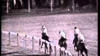 1964 Cheltenham Gold Cup Arkle and Mill Houseavi [upl. by Celinda459]