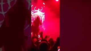 Palaye Royale  Wrocław concert festival swisslake live music lakelucerne musicevent kpop [upl. by Hukill]