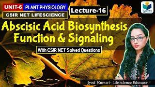 ABSCISIC ACID BIOSYNTHESIS ABA SIGNALING AND FUNCTION PHYTOHORMONE PART16CSIR NET [upl. by Spiers]