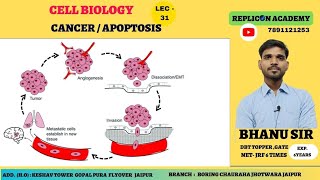 Cancer Apoptosis ll extrinsic pathway apoptosis ll necrosis ll Programmed cell death ll PCD [upl. by Haym430]