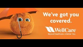 2022 Wellcare Medicare Advantage Plans [upl. by Aivital402]