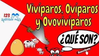 Animales VIVÍPAROS OVÍPAROS Y OVOVIVÍPAROS para niños de primaria [upl. by Dacy]