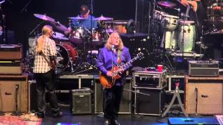 Allman Brothers  Black Hearted Woman  3513  Beacon Theater [upl. by Nov]