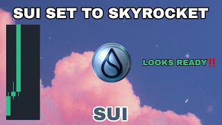 SUI CRYPTO SET TO SKYROCKET UPDATE IN 2024‼️ SUI COIN LOOKS READY TO MINING AGAIN‼️ GOOD CONTROLLING [upl. by Maibach386]