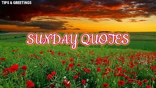 Happy Sunday Quotes  Best And Beautiful Quotes [upl. by Ber]