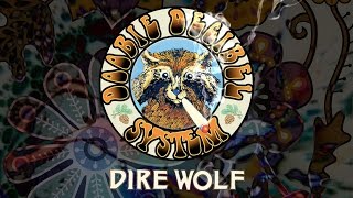 Doobie Decibel Sytem  quotDire Wolfquot Grateful Dead Cover Official Video [upl. by Eityak249]