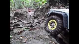 Part2 11 Trucks crawling  RC Trail Adventures at Chestnut Ave  SG Crawler Mudding [upl. by Raknahs]