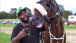 Unloading Standardbred Horses at 9th Annual quotPigquot Booth Trail Ride [upl. by Sivolc]