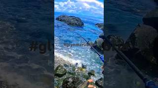 Rock Fishing 🎣🎣🐟🐟 fishing shortvideo [upl. by Goldwin]