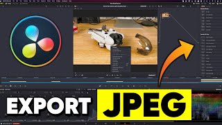 Davinci Resolve how to export a jpeg from the timeline  quick guide [upl. by Icam]