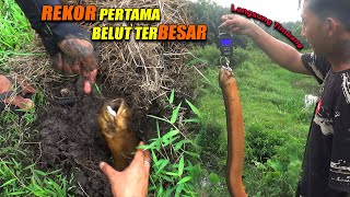 REKOR PERTAMA BELUT TERBESAR BERHASIL TERPECAHKAN [upl. by Anatsirhc]