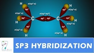 Sp3 HYBRIDIZATION PART 02 [upl. by Ferri]