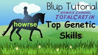 Top Genetic Skills  Howrse Blup Tutorial [upl. by Wehtta987]