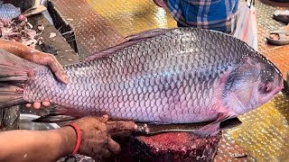 Amazing Cutting Skills  Giant Katla Fish Cutting By Expert Fish Cutter [upl. by Panta]