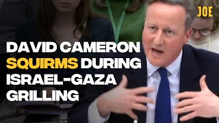 Just David Cameron getting rinsed during IsraelGaza grilling at Select Committee [upl. by Catherin]