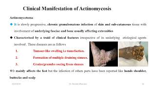 Actinomycetes amp Nocardia [upl. by Efrem158]