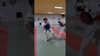 Korea Club Houdeng TKD Taekwondo training taekwondo tkdstrong artmartial [upl. by Dickson]