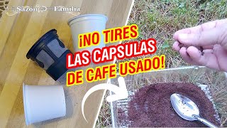 ¿SABIAS QUÉ 🤔LAS CAPSULAS DE CAFÉ SE USAN PARA🤔😁ABONO GRATIS [upl. by Eiznil]