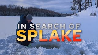 Ice Fishing for Splake in The Remote Canadian Wilderness  Can We Find Them and Catch One [upl. by Cargian]