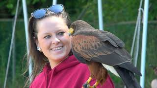 Highland Games Hulst 2024 wk 262024 [upl. by Osnerol]