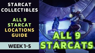 All Starcat Locations Guide  Week 15  Season of the Wish  Destiny 2 [upl. by Eixor796]