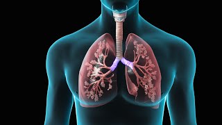 Spirometry  Test for Lung Function  Nucleus Health [upl. by Loni]