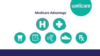 2023 WellCare Medicare advantage Sales Video English [upl. by Cyprian561]