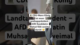 🏛️ CDUMann König ist neuer Landtagspräsident – AfDKandidatin Muhsal fällt zweimal durch 😲 [upl. by Elodie520]