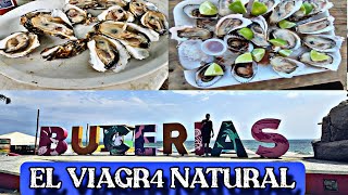 OSTIONES y PATAS DE MULA de Bucerías Esto es el VI4GRA Natural playa vacaciones comida [upl. by Berneta]