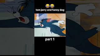 Tom Jarry and funny dog  funny cartoon  youtubeshorts funny Mr funny funniestvideo😂 [upl. by Remmos]