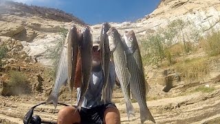 Striper Boil 1 hour long Castaic LakeHydroWaveKistler Rods [upl. by Quintilla]