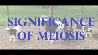 CHAPTER 05 CELL CYCLE “SIGNIFICANCE OF MEIOSIS” [upl. by Yendor997]