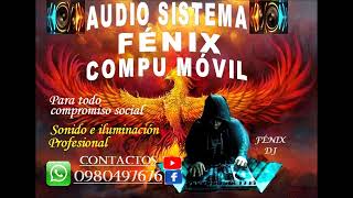 🎚️🔊🕺 CHICHAS MIX ÉXITOS 2024 🎚️🔊🕺  FÉNIX DJ [upl. by Funch]