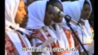 quotስርናይ ካብ ክርዳድ ክፈሊ ቀሪቡዩquot srnay kab kirdad kfeli qeribuyuquot [upl. by Delwin]