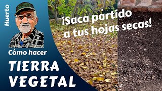 𝗧𝗜𝗘𝗥𝗥𝗔 𝗩𝗘𝗚𝗘𝗧𝗔𝗟 CÓMO HACER TIERRA VEGETAL [upl. by Harv956]