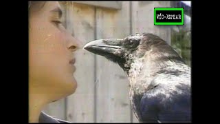 Si los Animales hablaran Enseñanza Práctica e Imitación  Documental 1998 Español Latino Ep 2 [upl. by Duthie]