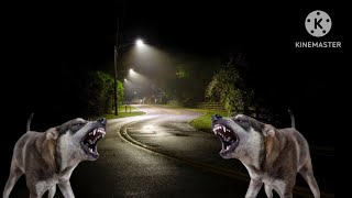 Dog Barking Sound at Night  Dog barking sound  crazy mr azzu [upl. by Normy]