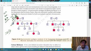 Pedigree Analysis  X linked dominant or Autosomal dominant [upl. by Akinaj]