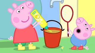 Peppa Spielt mit Seifenblasen  Ganze Episode  Cartoons für Kinder  Peppa Wutz Neue Folgen [upl. by Boj398]