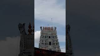 May cherry Bhadrakali Amman Kovil [upl. by Lokkin]